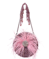 Kiraz Mauve Suede Embellished Clutch