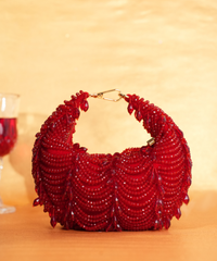 Liona Red Suede Embellished Hobo Bag