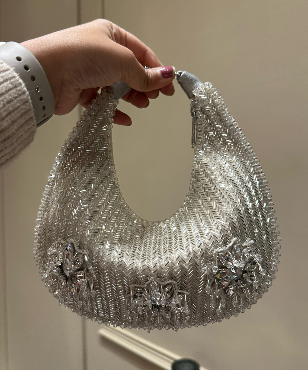 Elina Silver Suede Embellished Hobo Bag