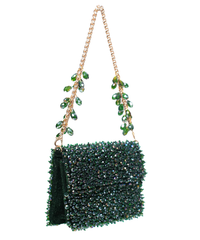 Kiyara Green Suede Crystal Embellished Mini Bag