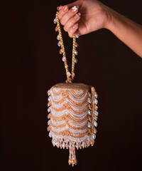 Eva Gold & Silver Georgette Embellished Mini Cylinder Bag