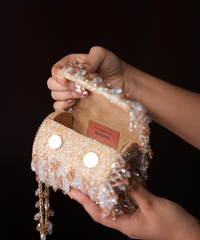 Eva Gold & Silver Georgette Embellished Mini Cylinder Bag