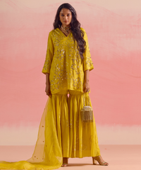 Ella Gold Georgette Handcrafted Bucket Bag