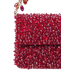 Kiyara Maroon Suede Crystal Embellished Mini Bag