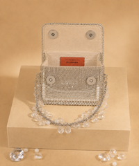 Elif Silver Georgette Embellished Mini Bag