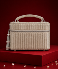 Cally Silver Suede Embroidered Vanity Bag