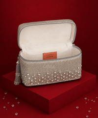 Cally Silver Suede Embroidered Vanity Bag