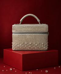 Cally Silver Suede Embroidered Vanity Bag