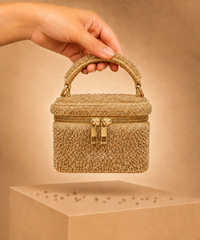 Ziya Gold Suede Embroidered Vanity Bag